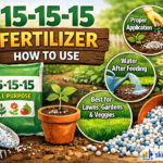 15 15 15 fertilizer how to use